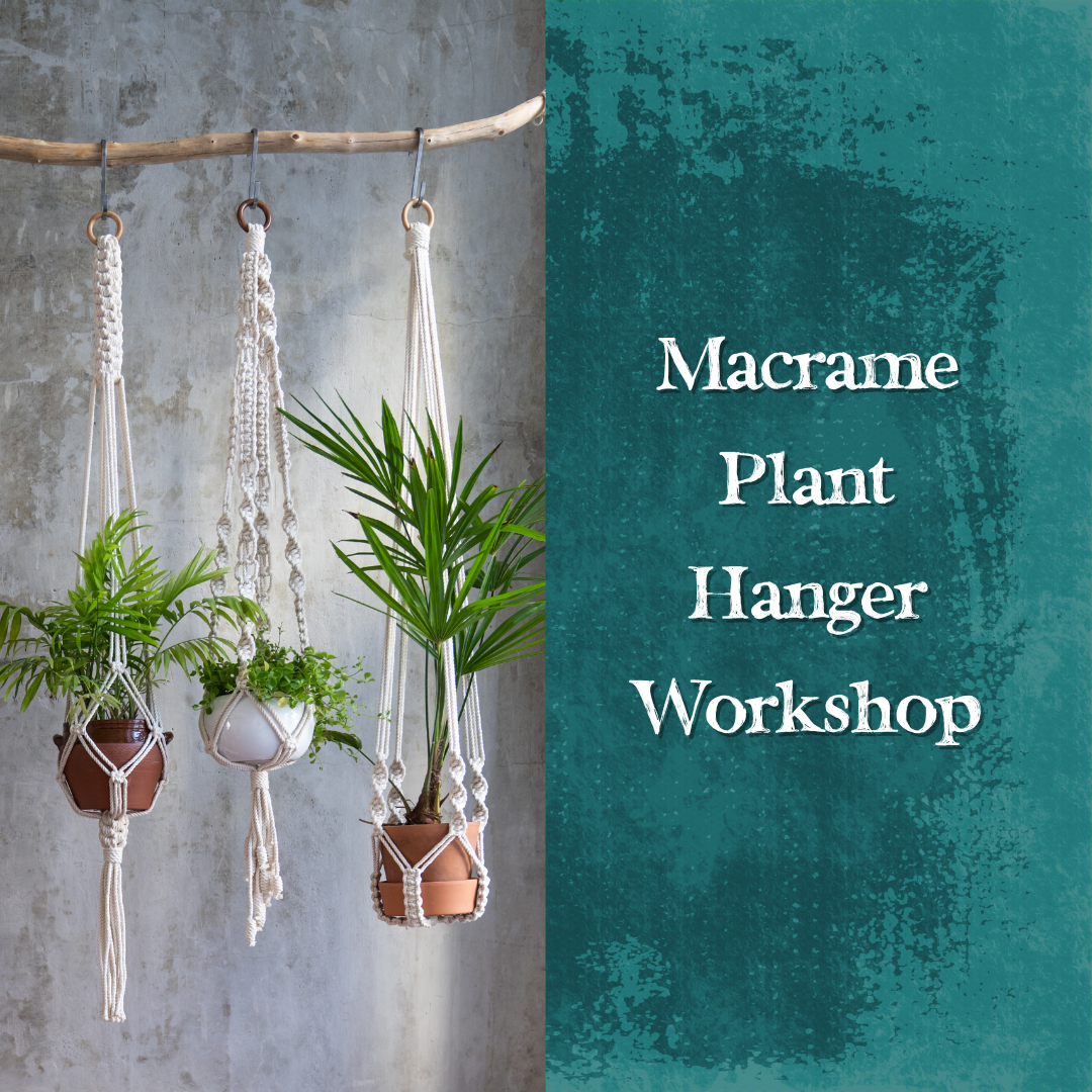 1/28/25 Macramé Plant Hanger Workshop