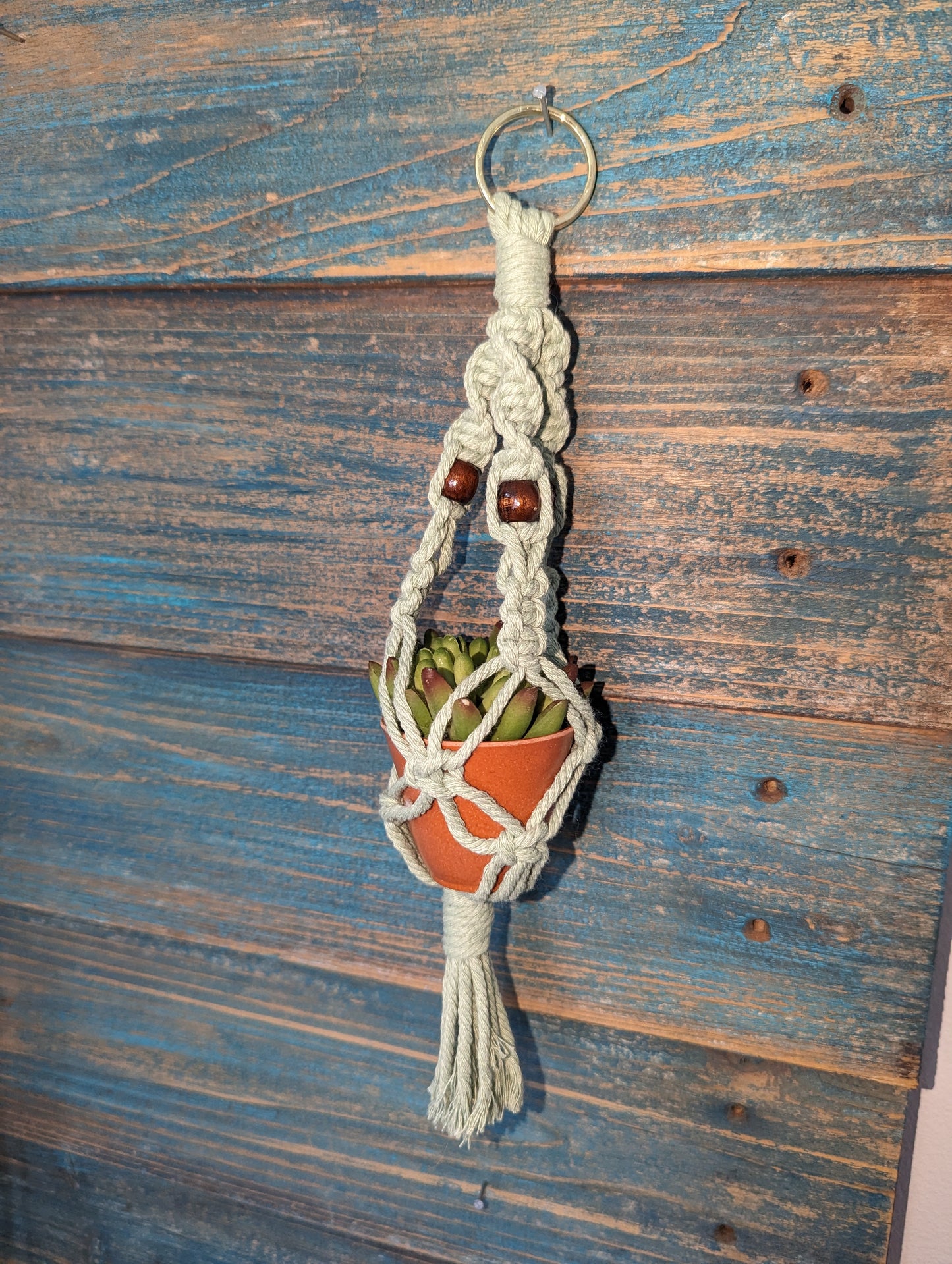 Mini Macrame Plant Hanger